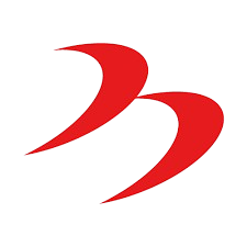 Descripción del SVG